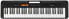 Фото #2 товара Синтезатор CASIO CT-S100 61 клавиш с автоматическим сопровождением