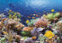Castorland 1000 EL. Rafa koralowa (101511)