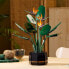 Фото #26 товара LEGO Creator Expert Bird of Paradise 10289 Adult Artificial Plants Flowers Gift Idea