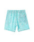 Vintage Summer 4 Way Stretch Volley Swim Trunk Men's