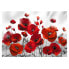 Фото #1 товара Fototapete Glowing Poppies