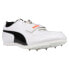 Фото #4 товара Puma Evospeed Long Jump 6 Track And Field Mens White Sneakers Athletic Shoes 19
