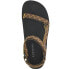 LIZARD Creek IV sandals