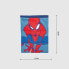 Фото #2 товара Сумка Spider-Man Красный 13 x 18 x 1 cm