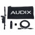 Audix Micro-D