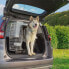 ფოტო #7 პროდუქტის FERPLAST Atlas 70 Professional Pet Carrier