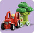 Фото #22 товара LEGO 10982 DUPLO My First Fruit and Vegetable Tractor, Sorting and Stacking Toy for Babies and Toddlers Aged 1 and 10981 DUPLO My First Growing Carrot