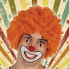 Фото #1 товара Парик с вьющимися волосами 119755 Оранжевый