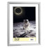 Фото #1 товара ZEP New Easy 15x20 cm Resin Photo photo frame