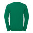 Фото #3 товара Толстовка Uhlsport UHLSPORT Sweatshirt