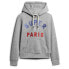 SUPERDRY Glitter Graphic Logo hoodie