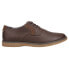 Sperry Newman Oxford Plain Toe Dress Mens Brown Dress Shoes STS24124 10.5 - фото #1