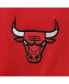 ფოტო #5 პროდუქტის Men's Red, Black Chicago Bulls Big and Tall Pieced Body Full-Zip Track Jacket