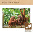 Фото #5 товара Головоломка Colorbaby Orangutan 6 штук 68 x 50 x 0,1 cm