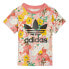 Фото #1 товара ADIDAS ORIGINALS AOP Pack short sleeve T-shirt