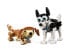 Фото #13 товара Конструктор LEGO Creator Cute Dogs 12345 для детей