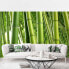 Фото #4 товара Обои Bilderwelten Bamboo Trees