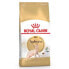 Фото #2 товара ROYAL CANIN Sphynx Adult 2kg Cat Food