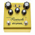 Strymon Riverside