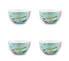 Schalen Blushing Birds I (4er Set)