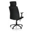 Home Office Chefsessel PROVIDO I