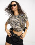 Фото #1 товара AllSaints Mira adjustable tie side t-shirt in leopard