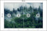 Фото #10 товара Fototapete WALD IM NEBEL Bäume Natur 3D