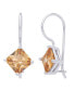 ფოტო #6 პროდუქტის Simulated Gemstone Square Lever Back Silver Plate Earrings