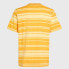 ფოტო #5 პროდუქტის O´NEILL Mix&Match Stripe short sleeve T-shirt