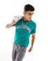 Champion Rochester collegiate logo t-shirt in dark green grün, M - фото #1