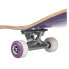 QUIKSILVER Trips 7.25 Skateboard