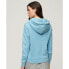 Фото #2 товара SUPERDRY Tonal Rainbow Core Logo hoodie