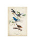 Фото #1 товара John James Audubon Indigo Bunting Birds Canvas Art - 37" x 49"