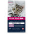 Фото #1 товара Корм для котов Eukanuba Grain Free Kitten Salmon Рыба 2 Kg