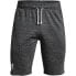 UNDER ARMOUR Rival Terry Shorts