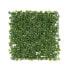 Фото #5 товара Pflanzenwand Jade-Leaf