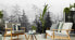 Fototapete WALD Bäume Pflanzen Natur
