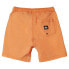 Фото #4 товара QUIKSILVER Taxer Shorts