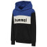 Фото #1 товара HUMMEL Morten hoodie