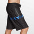MYSTIC Intuition HP Swimming Shorts