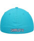 Men's Teal Charlotte Hornets Team Franchise Fitted Hat