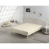 Fitted bottom sheet Alexandra House Living Cream 160 x 190/200 cm