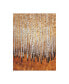 Фото #1 товара Tim Otoole Sienna Birches I Canvas Art - 20" x 25"