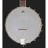 Фото #4 товара Harley Benton BJO-35Pro 5 String Banjo OB