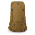 Фото #3 товара OSPREY Rook 65 backpack