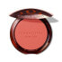 Фото #2 товара Powder Blush Terracotta (Blush) 5 g