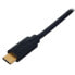 Фото #2 товара UDG Ultimate Cable USB 3.0 C-A BL