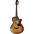 Фото #1 товара Taylor 512ce 12-Fret Urban Ironbark