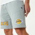 Фото #2 товара Спортивные шорты New Era LA Lakers Серый