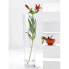 Фото #2 товара Vase Iconic